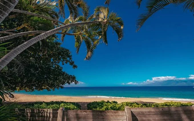 2026 Maui Pickleball Tournament  01/19/26-01/26/26